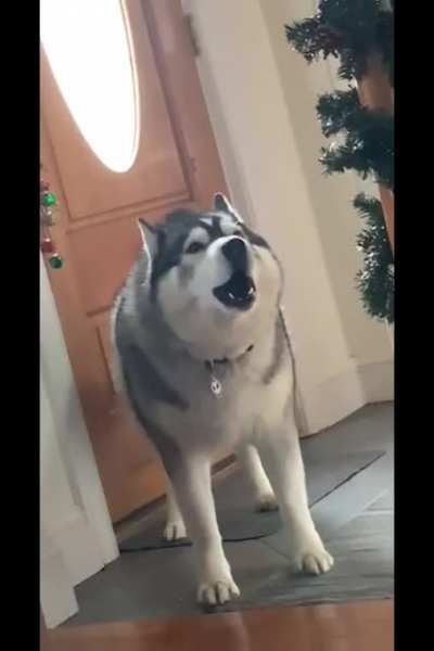 He seems to have something important to say