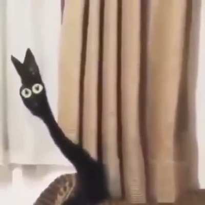 this is cursed