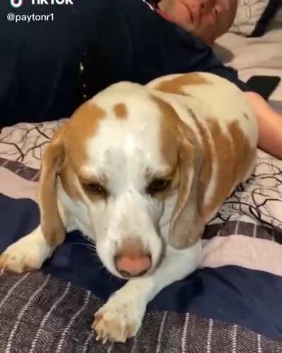 Poor fella