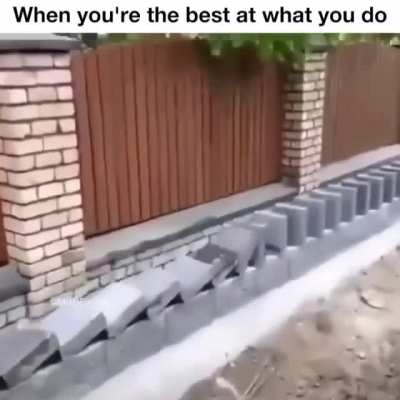 Do what you love