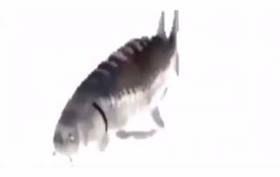 Big’s Big Mystery Finally Revealed.