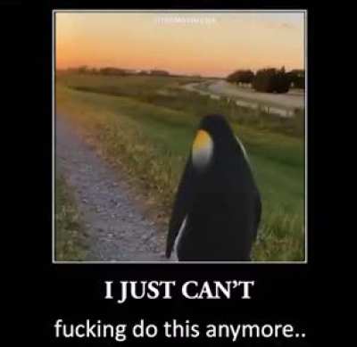This is a penguin moment :<