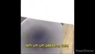 vo-você gosta? 👉👈