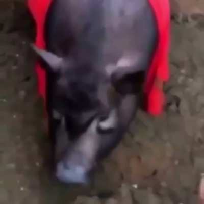 Ərdöğânçîk