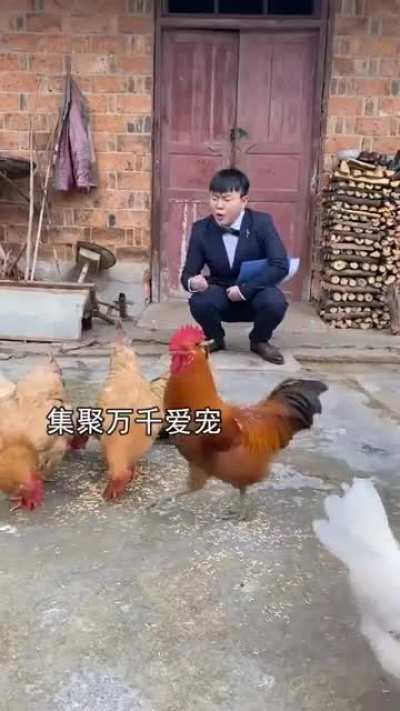 中国式宣传