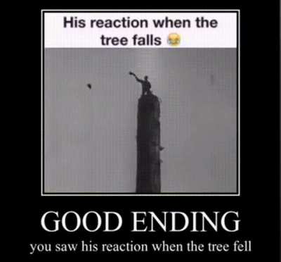 when the tree actually falls
