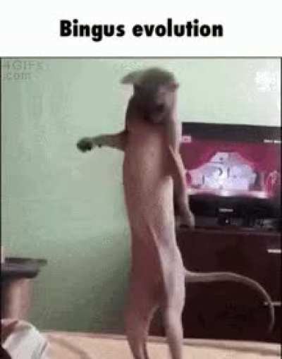 Evolutionary
