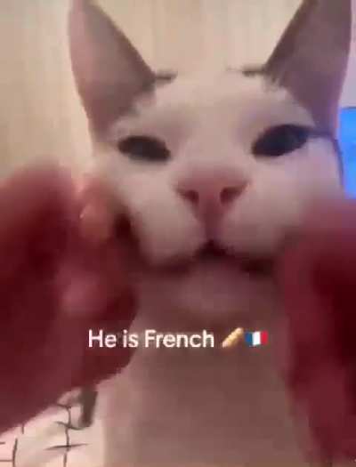 Le wunk le chill?