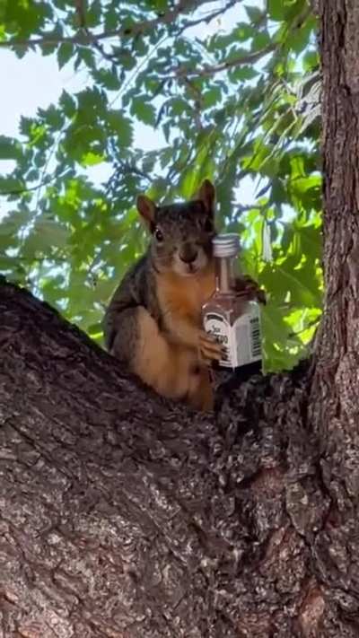 That nut looks suspicious