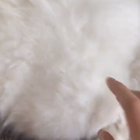 Wait for it....