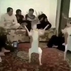 cursed_buck