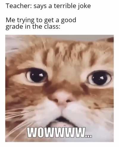 I also feel bad for them