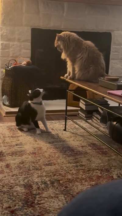 Frenemies