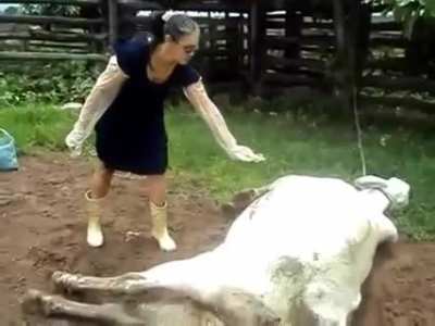 ББПЕ