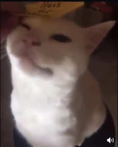 Why do I like this so much (sound on)