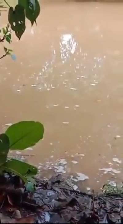Always remember, if you can’t see the bottom, don’t go in the water