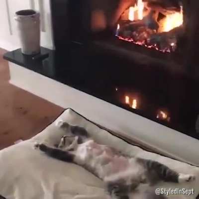 Cat things