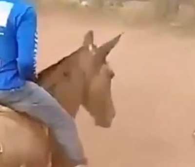 🐴 🍖 💀