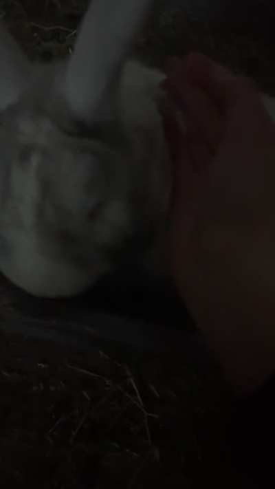 the cutest vid i ever took of him