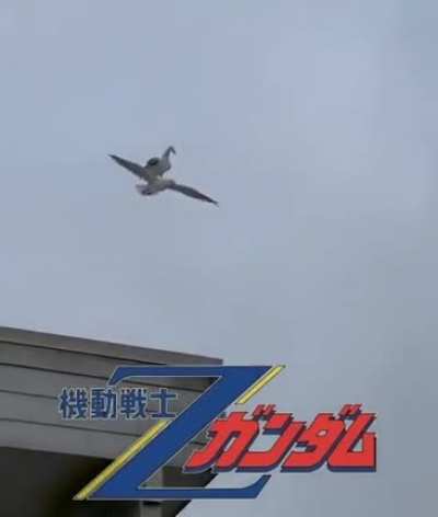 Nature's Sub-Flight System (source in the comments)