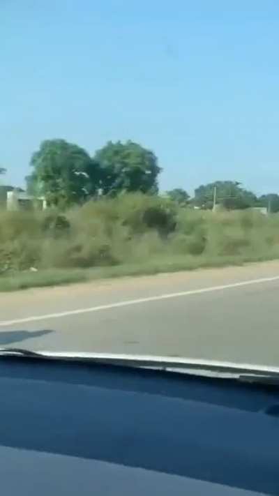 HMB while i enjoy being a passanger on a self driving motorbike