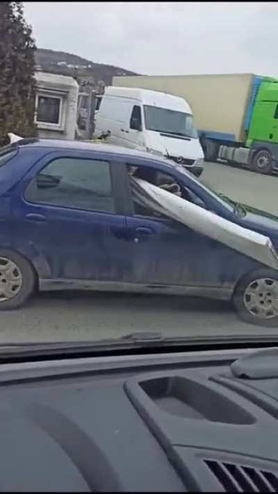 Am vazut cainele facand asta