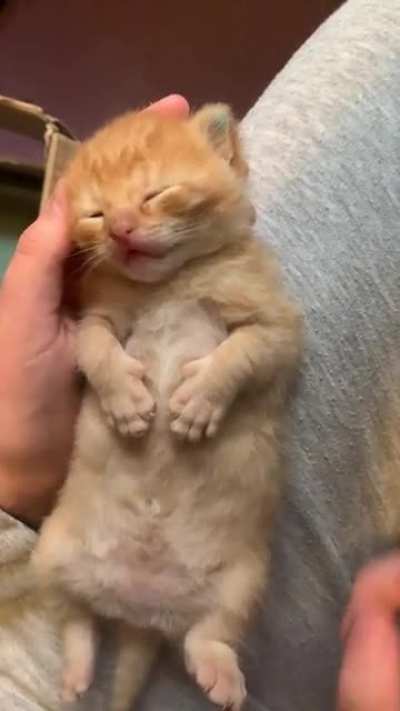 Dreaming about their next crime