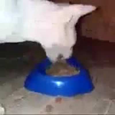 I’m hungry