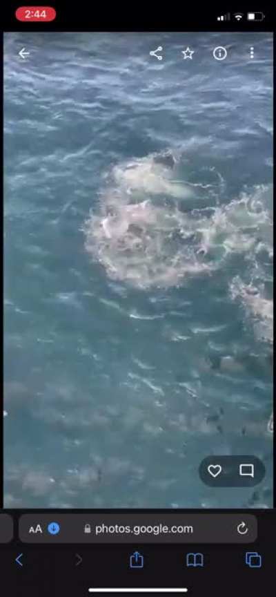 FU seal