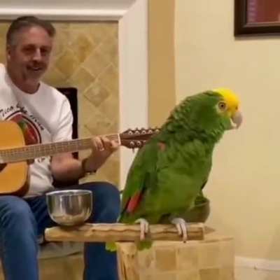 Beautiful singer