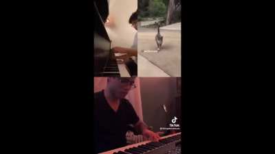 Amigo esta epico esto