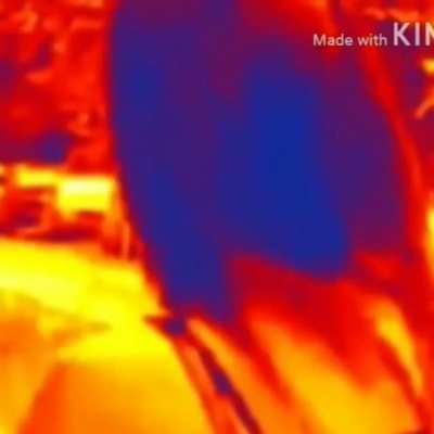 Robbery prevente- nvm