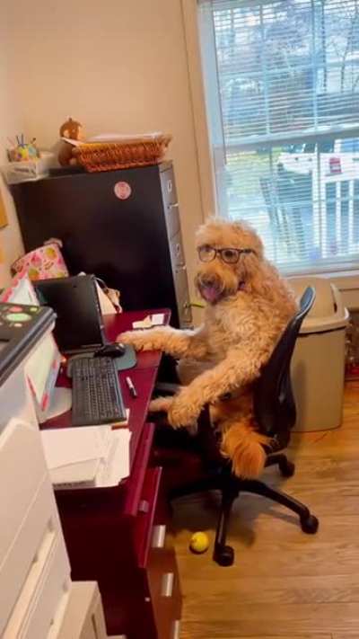 Fred’s always busy this time of year