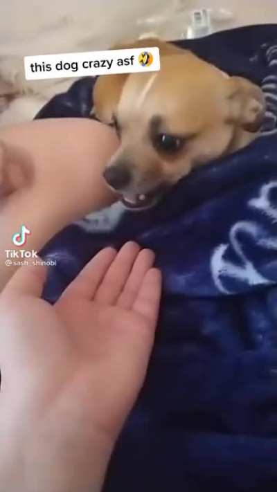 Wanna treat?