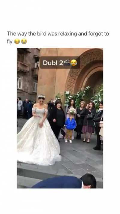 Always something unexpected happens at your wedding 😒