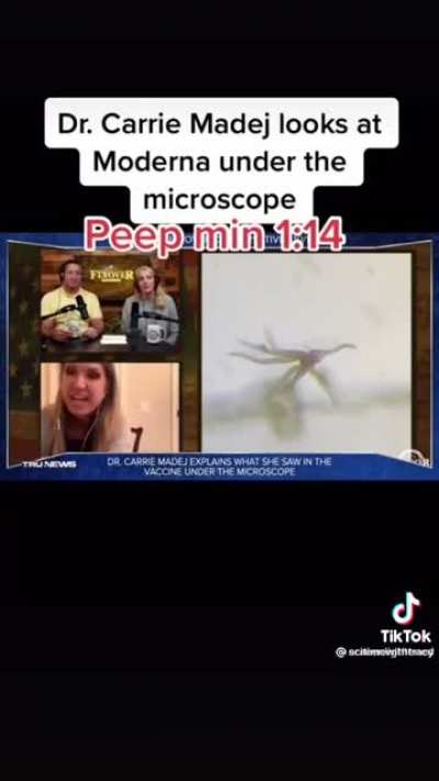 Vaccine under the Microscope