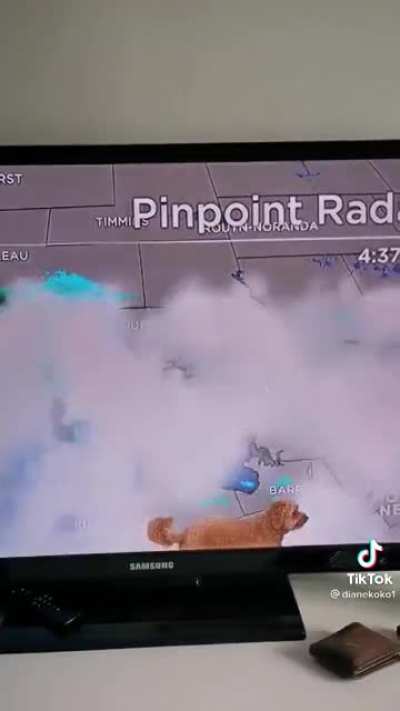 Weatherman working from home