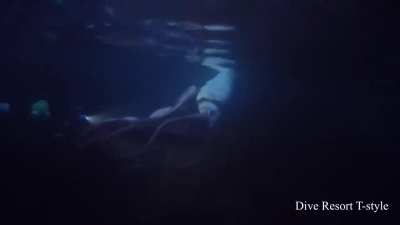 I can't even imagine how surreal it would be to encounter this in person, let alone in pitch black depths of the vast night time ocean with only your dim underwater torch as it brushes against your feet...