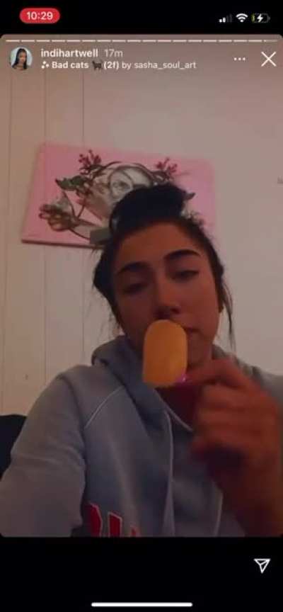 Indi Hartwell vs her cat