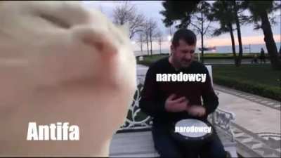Wiem, że sporo tych przeróbek z kotem było, ale takiej jeszcze nie widziałem