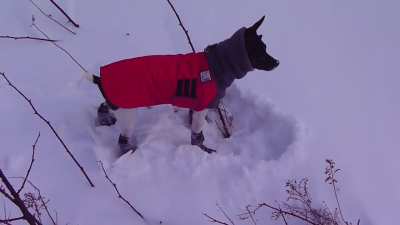 Tuco was a true outdoorsman