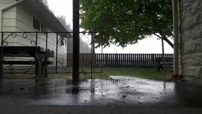 Raining in Christchurch, New Zealand. A view from the backyard of my workplace 🧡🧡🧡 ☕☕☕