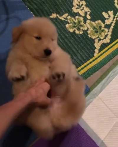 It's Fluff Friday!