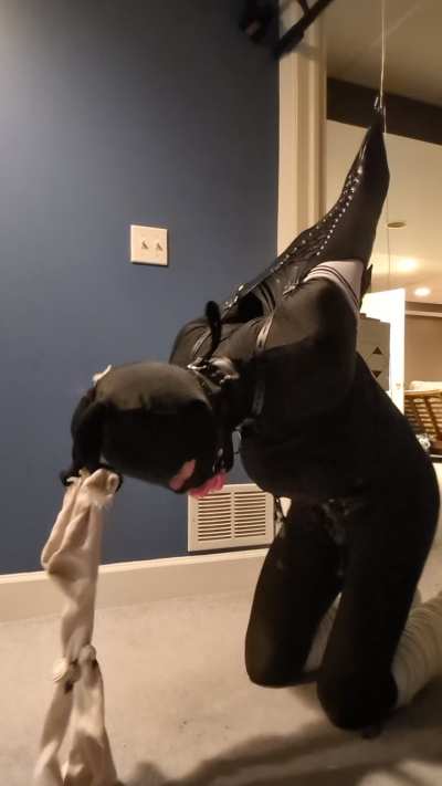 Strapado bondage