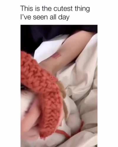 Little hat for little pup
