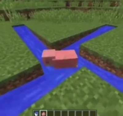 ‎