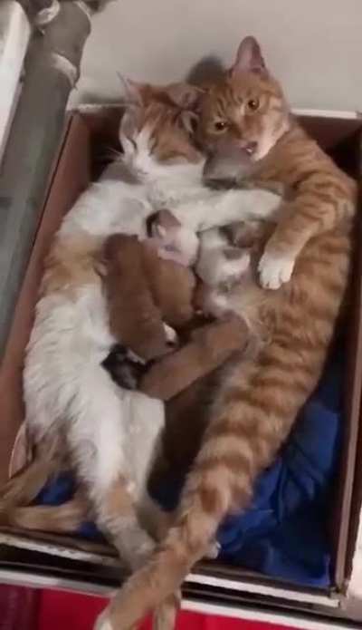 one happy family...
