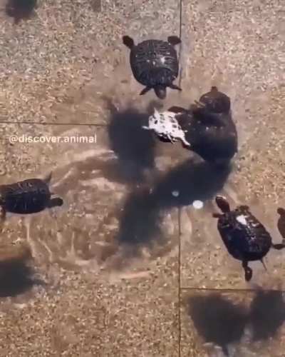 Helping out a bro.