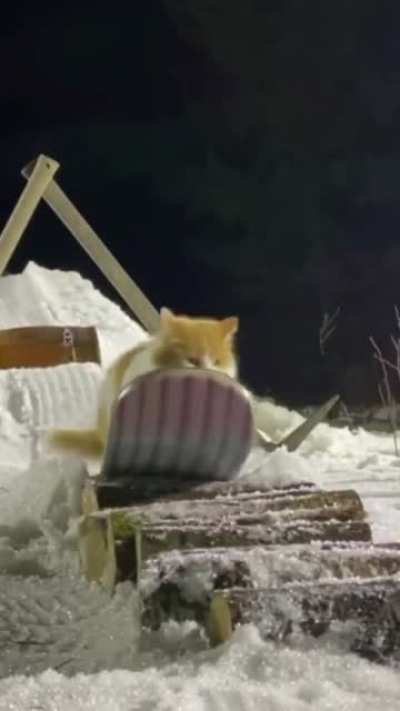 Покатушки