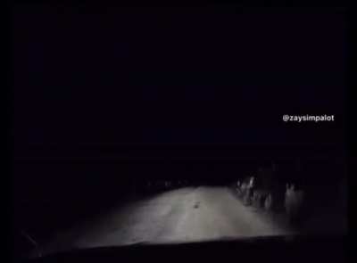 Fuck kangaroos